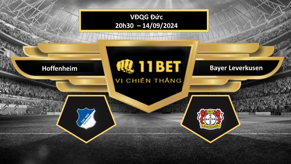 11BET Tip bóng đá  Hoffenheim vs Bayer Leverkusen, hôm nay 14/09/2024
